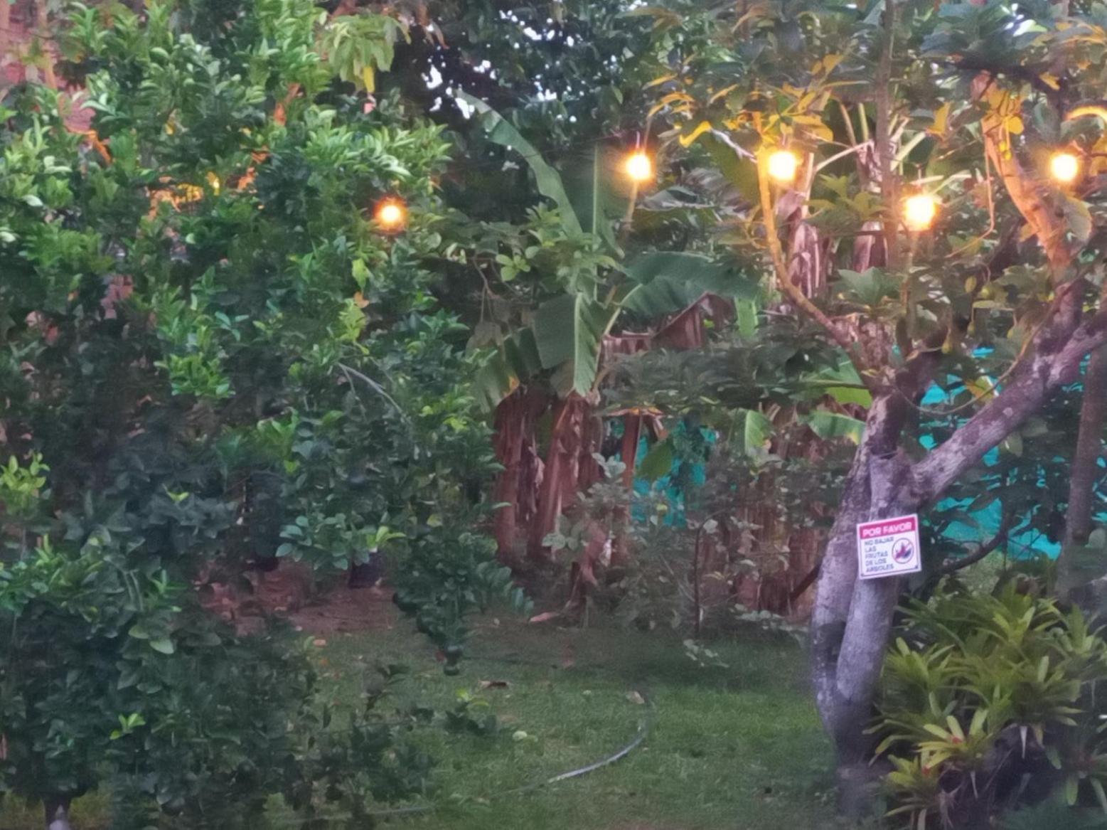 Las Orquideas Rozo Dış mekan fotoğraf